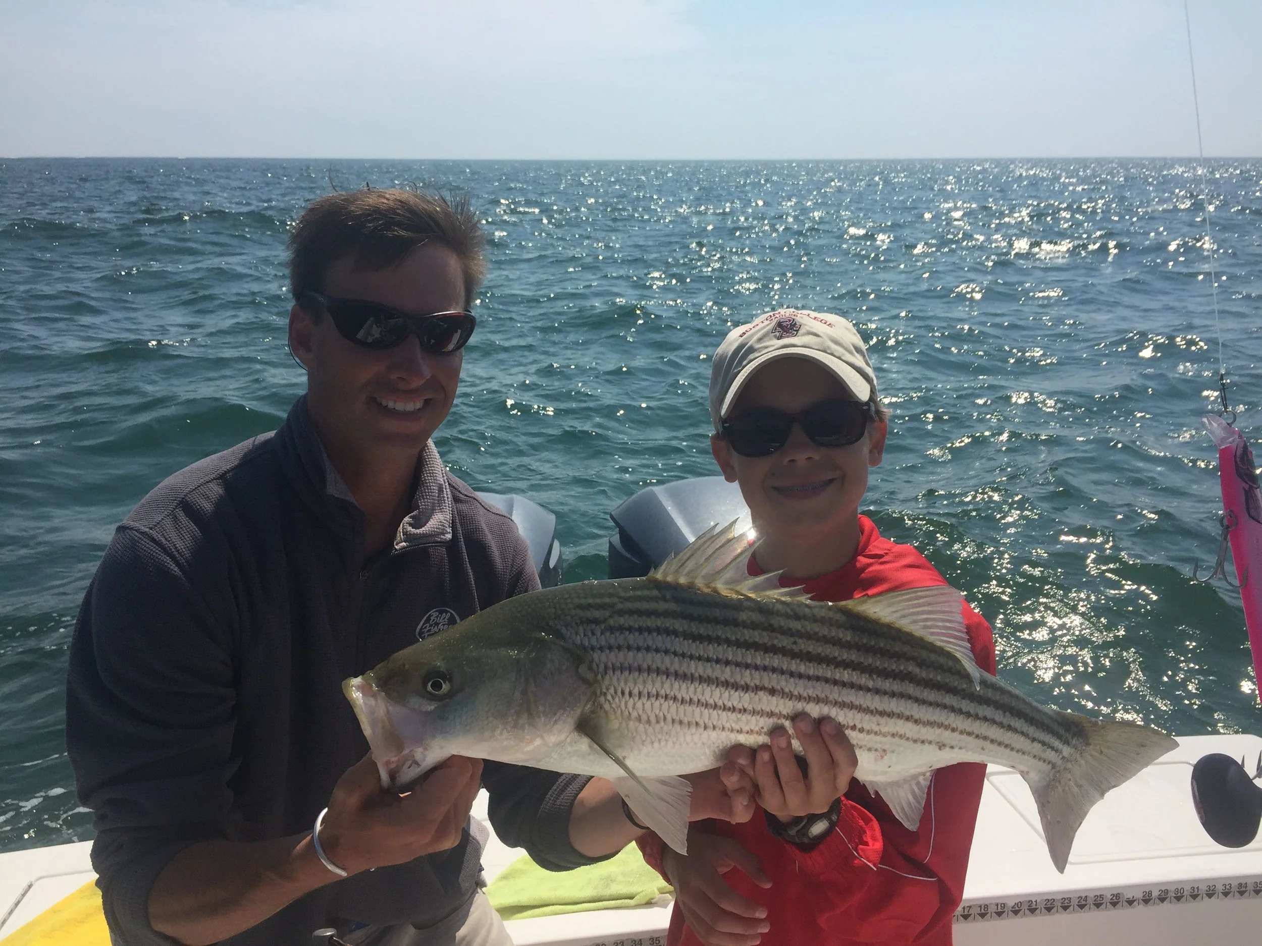 Striped Bass are overfished
