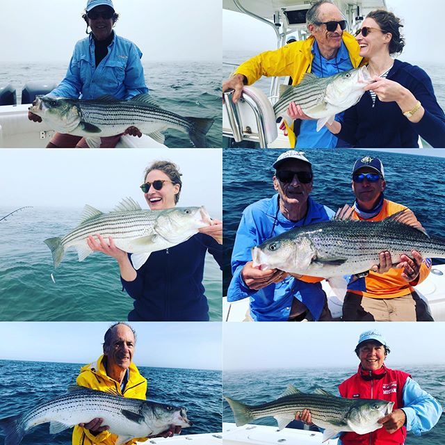 Great crew the last few days! Big bass still biting into late July! #billfisheroutfitters #billfishertackle #nantucket # stripedbass #regularormarine