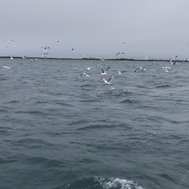 We LOVE what we do... amazing morning. Always worth fishing in the rain! #hope #nantucketfishing