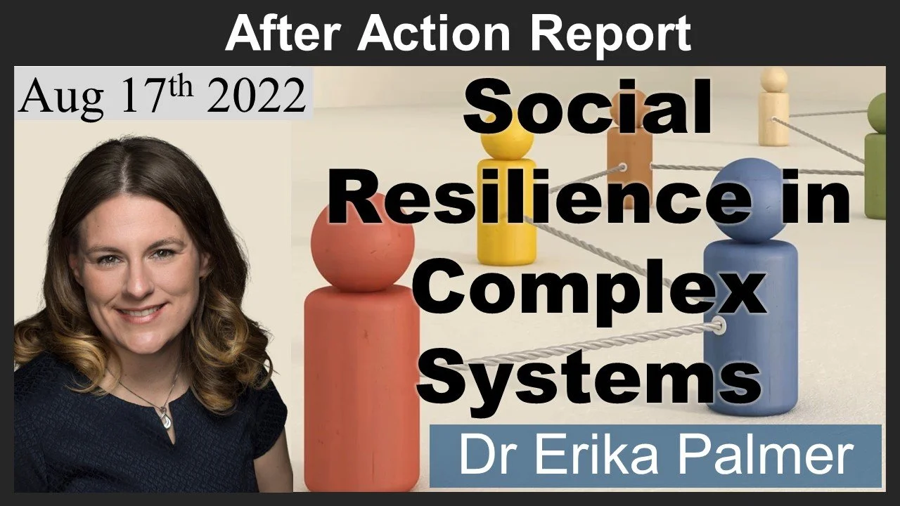 2022-08-17: Social Resilience in Complex Systems (Palmer)