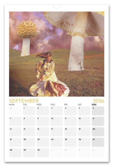 Screenshot 2025-11-04 at 12.33.51 PM.png