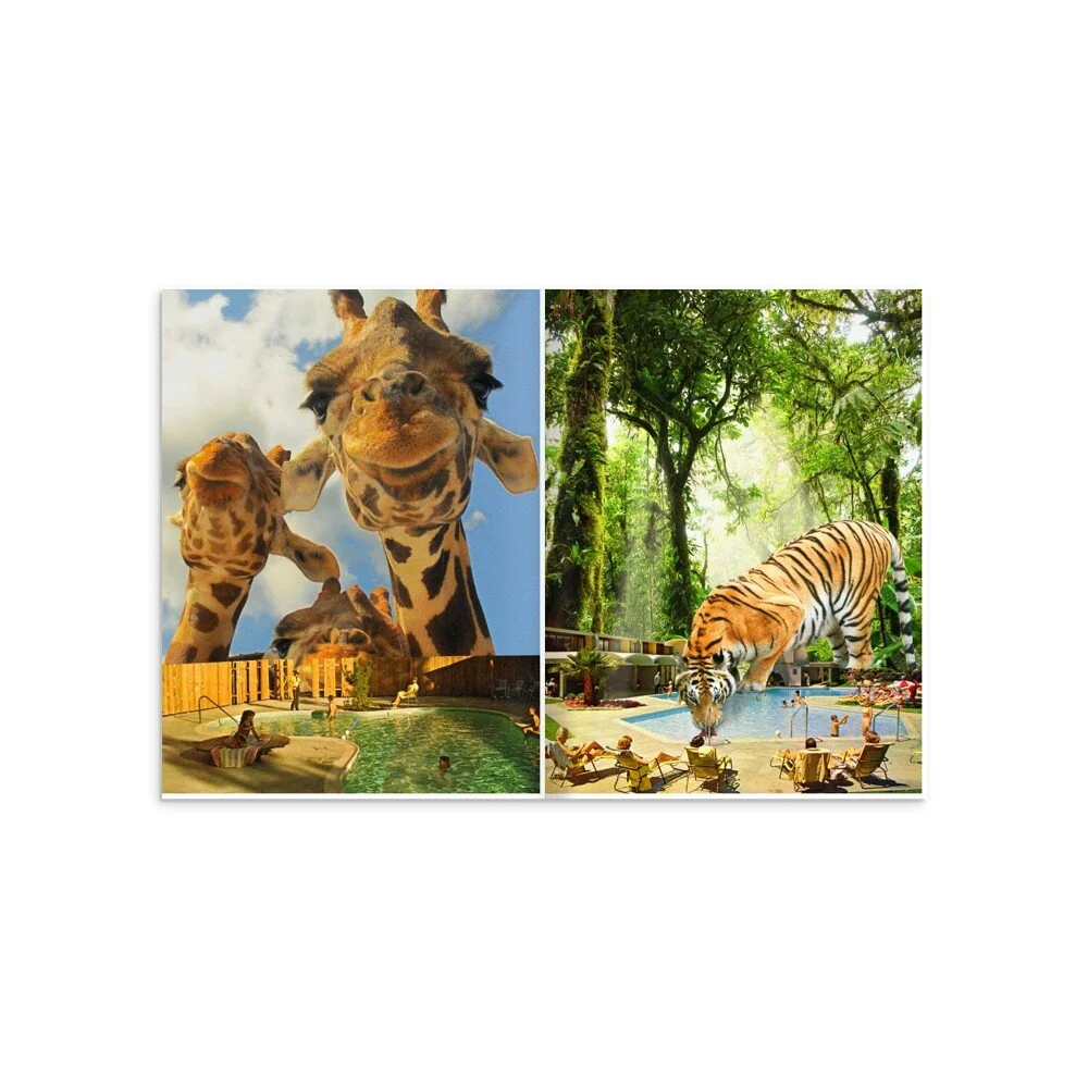 tmp-405-aWLoESESS87B