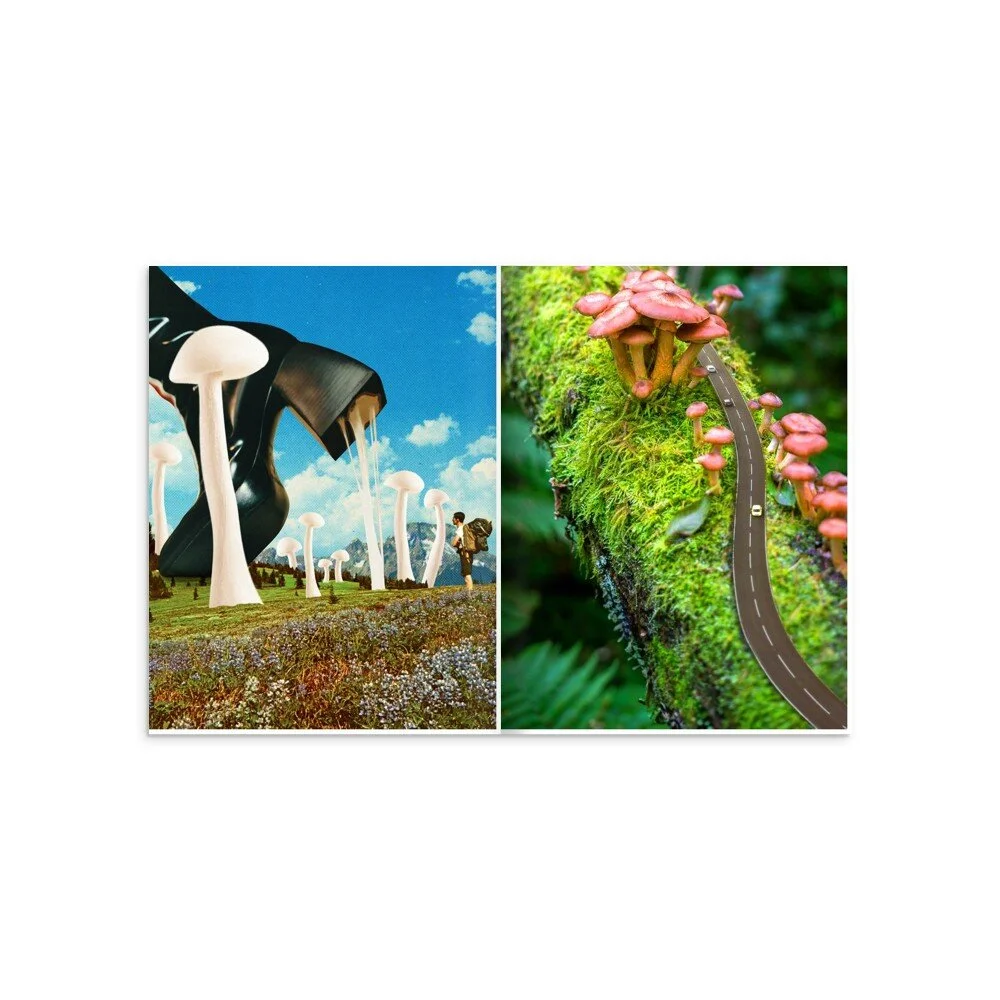 tmp-363-x60O41y371eZ