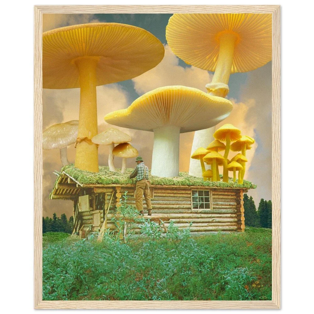 tmp-414-5VQjD7zQoiei