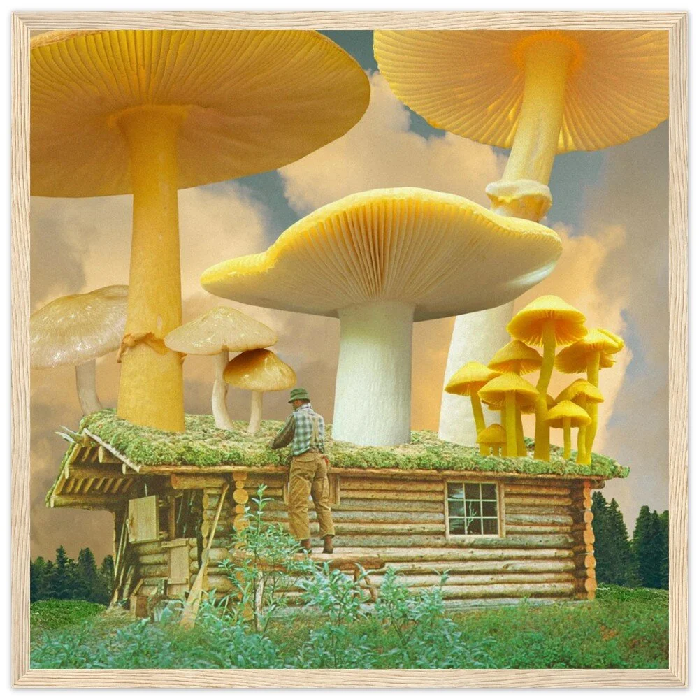 tmp-414-X2IpLHoPuL5n