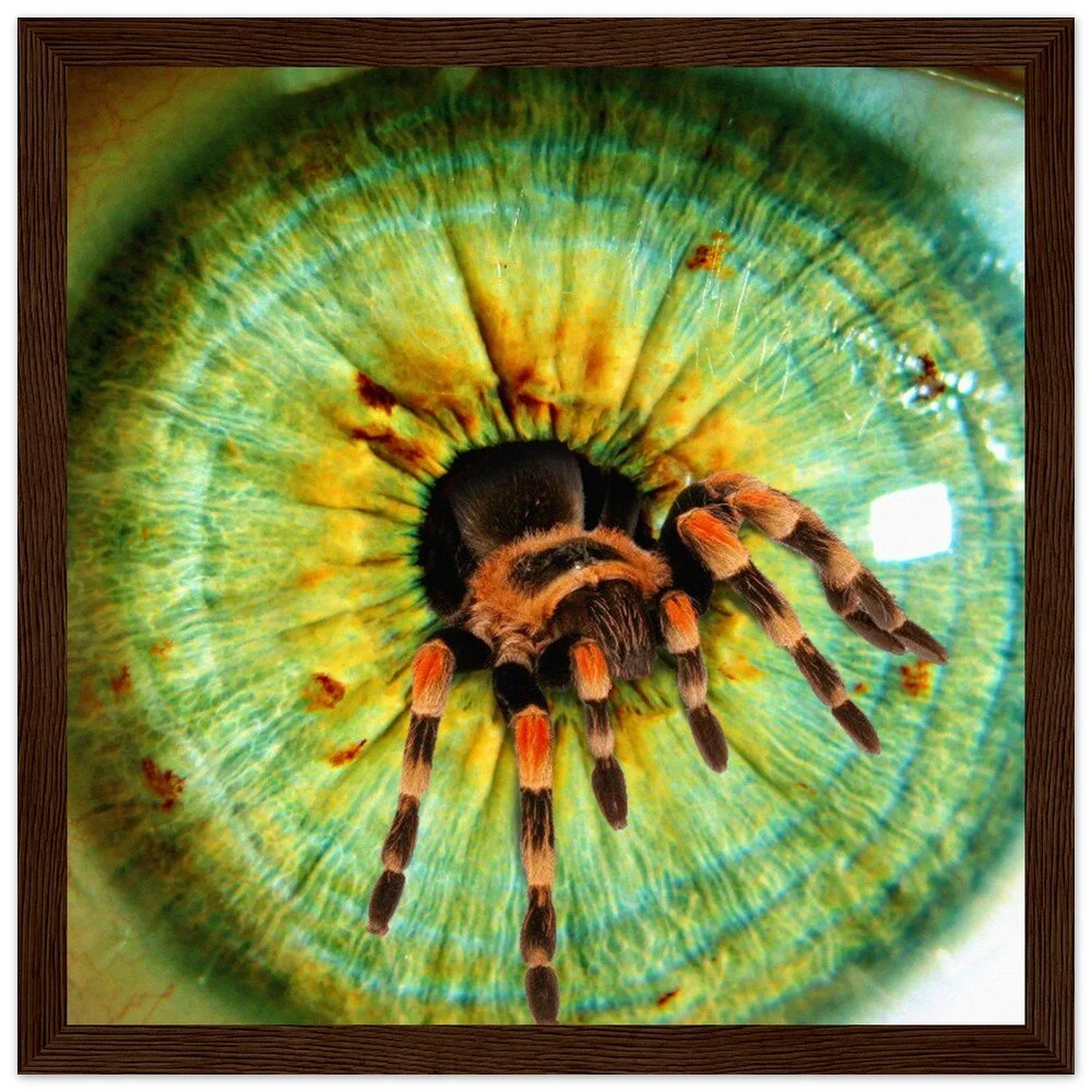 tmp-386-s0DRRj5AbzO4