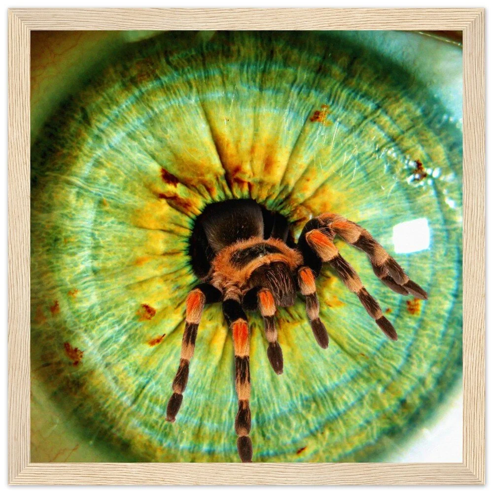 tmp-386-oEi3uuRUFLho