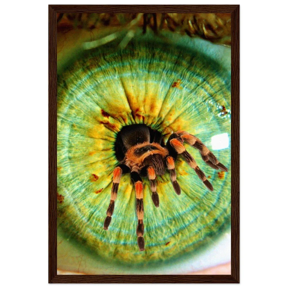 tmp-386-1WPYuHWPyzMN