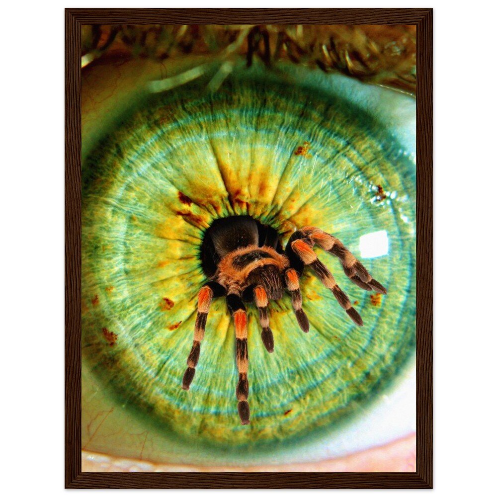 tmp-358-FJvHrPSSSkVI