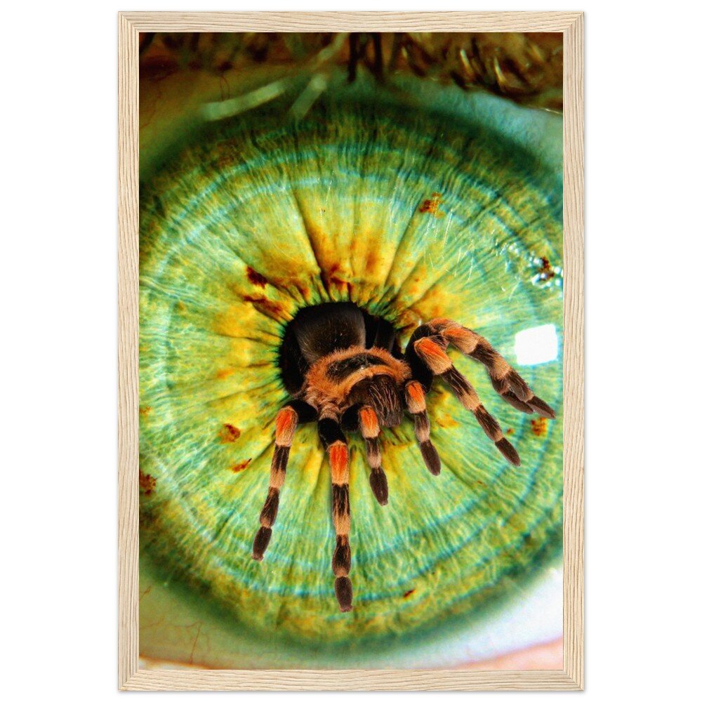 tmp-358-x5tqPGFNwhUW