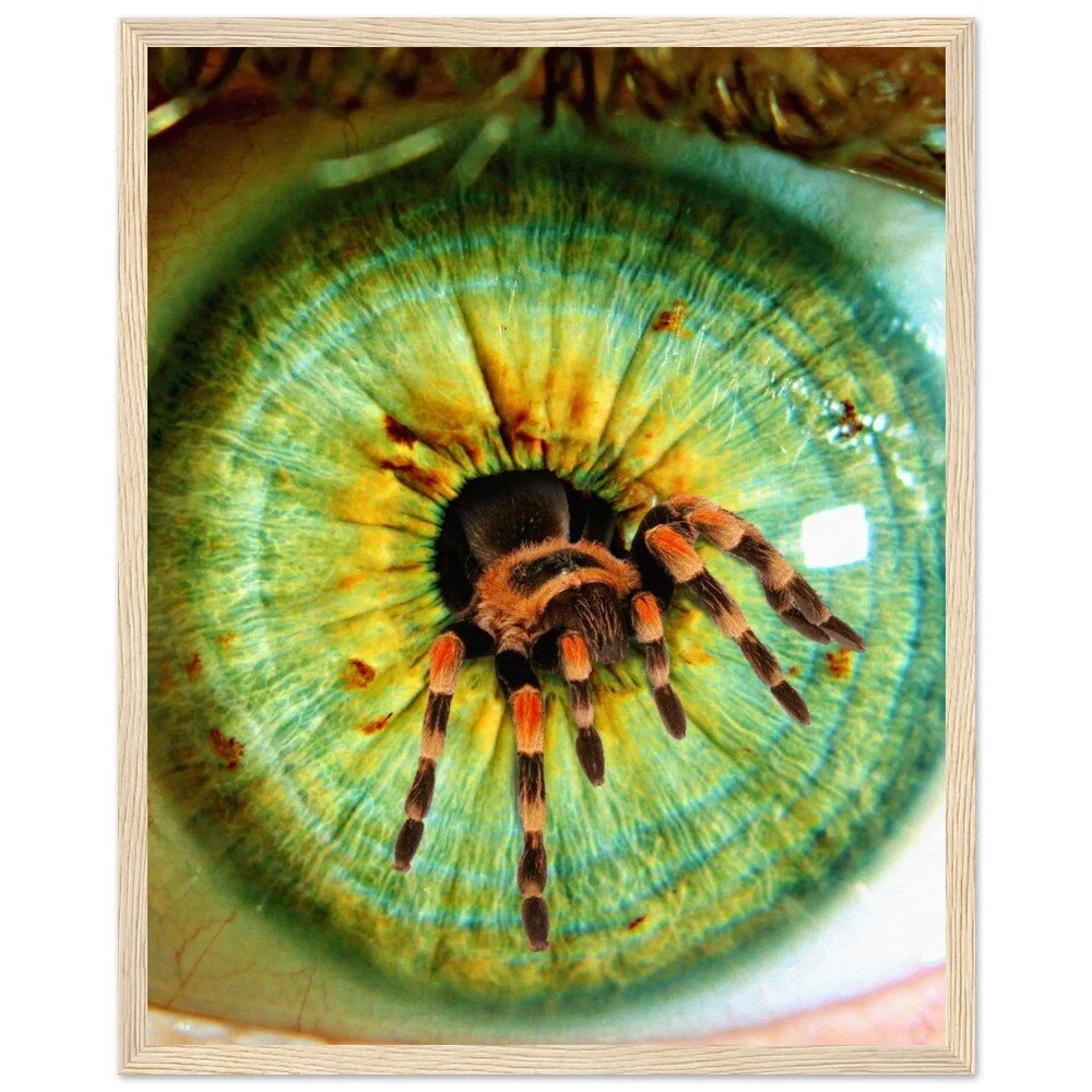 tmp-358-mQ0H6Zxeyf3Y