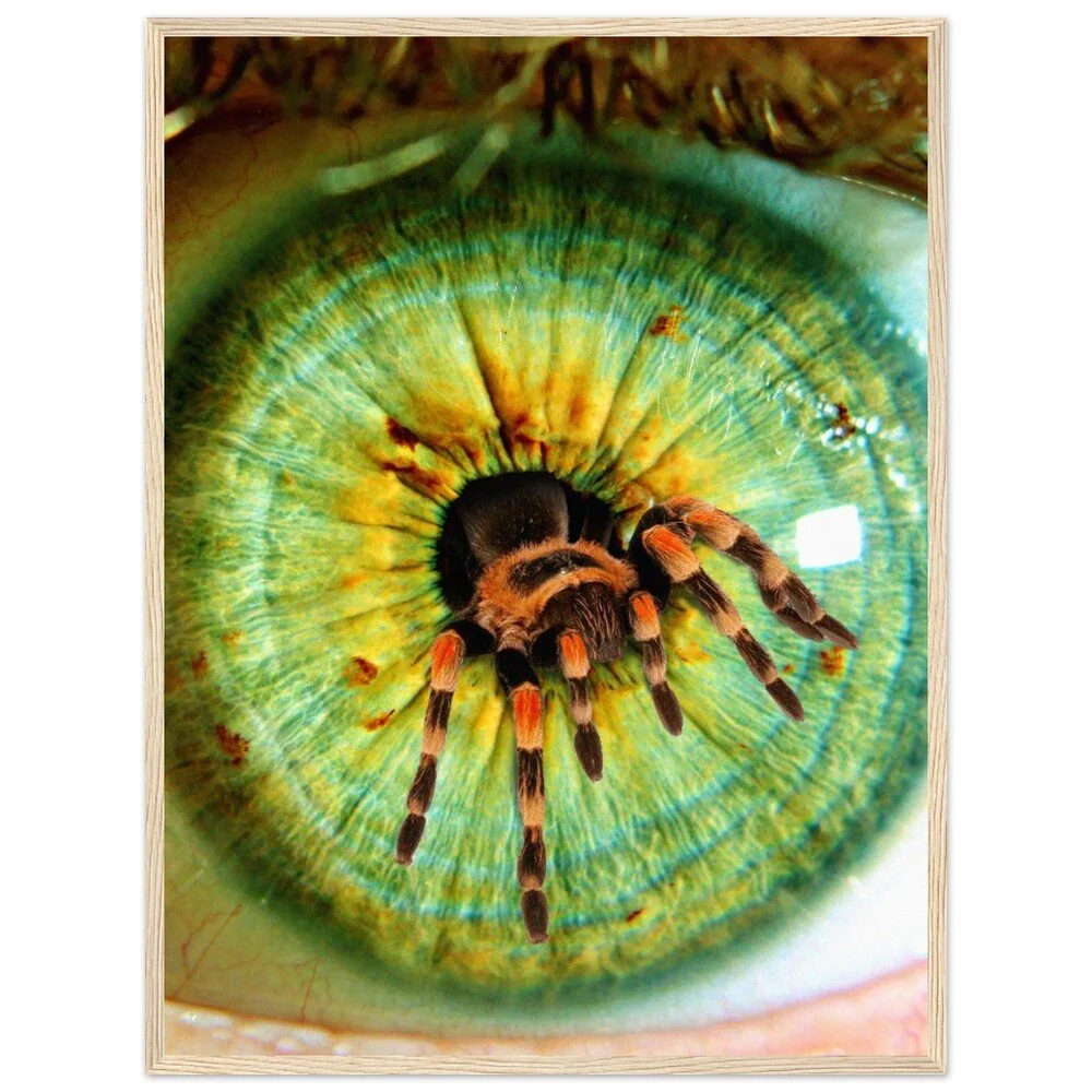 tmp-386-pHrRIxTUf8UO