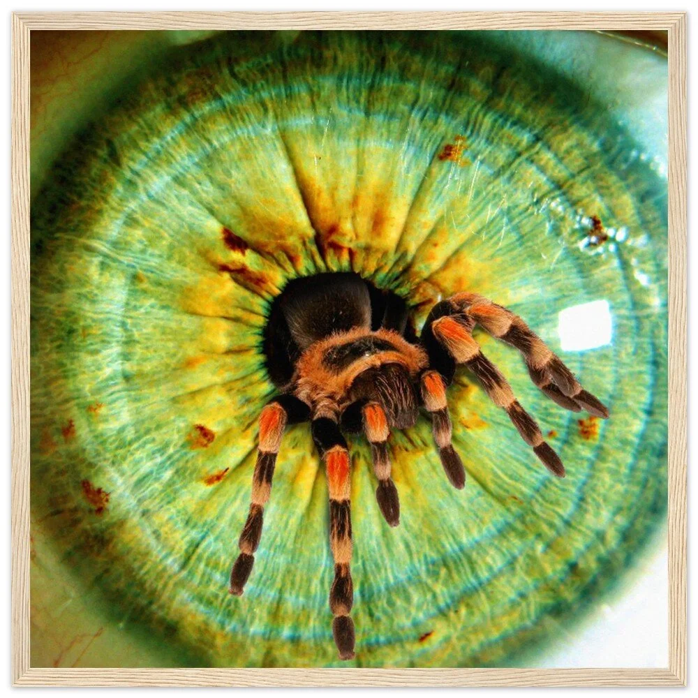 tmp-358-KN53CSKoi5MP