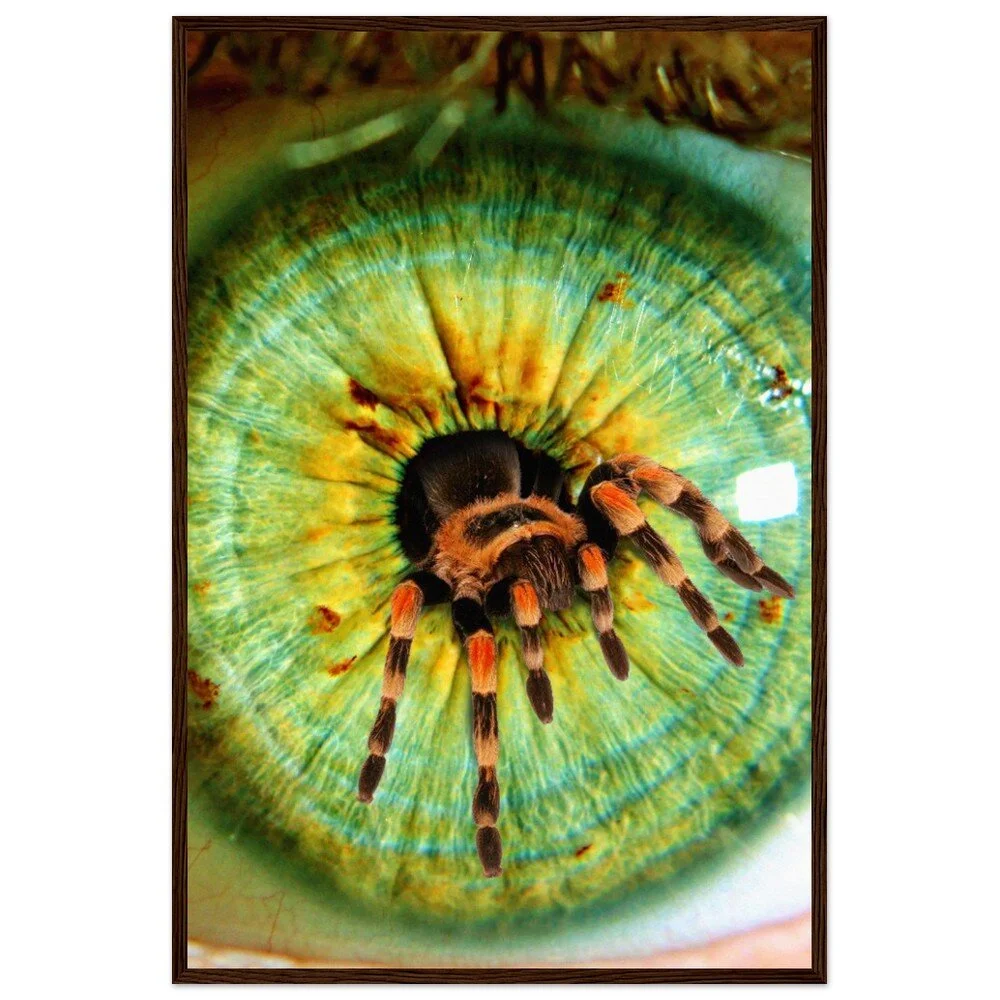 tmp-386-rIcjWfsXJ2ph