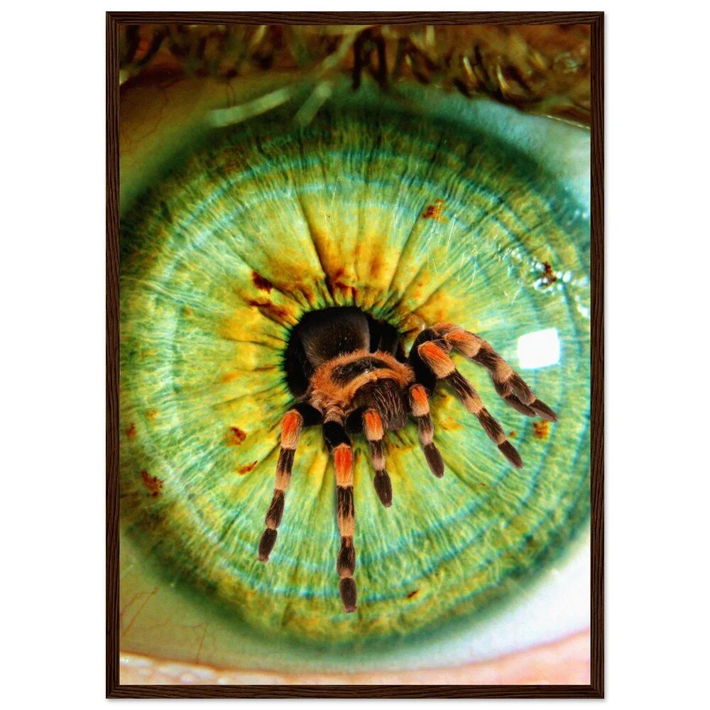 tmp-358-eJkwA3LWu35w