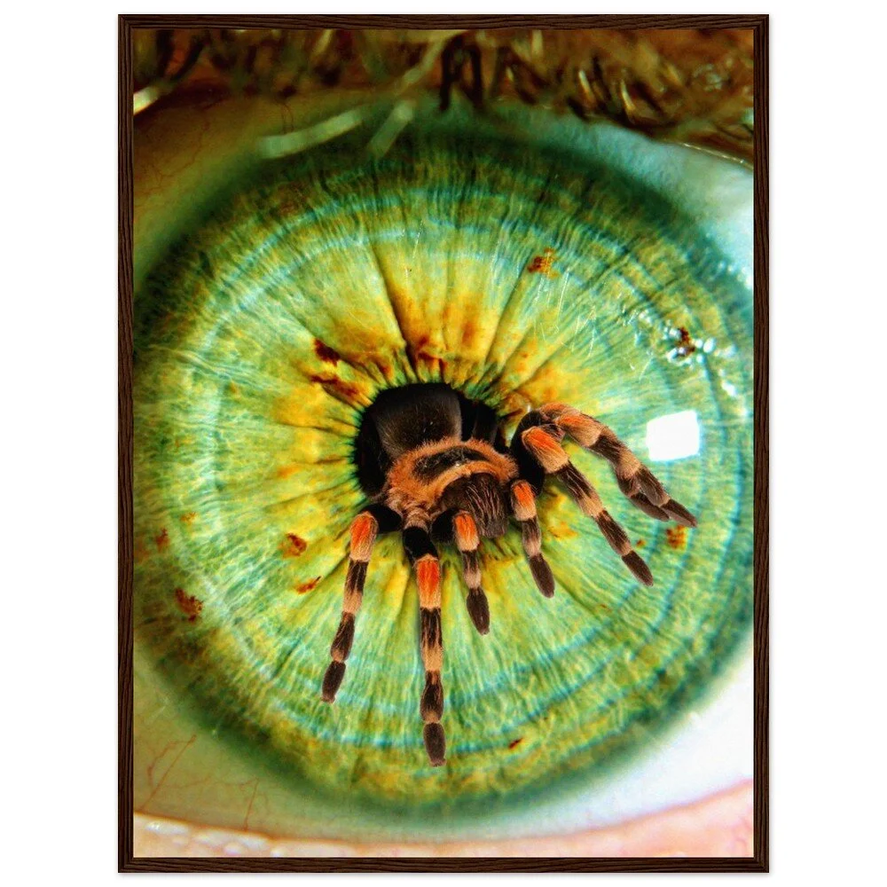 tmp-358-kl6PGr0owAyv