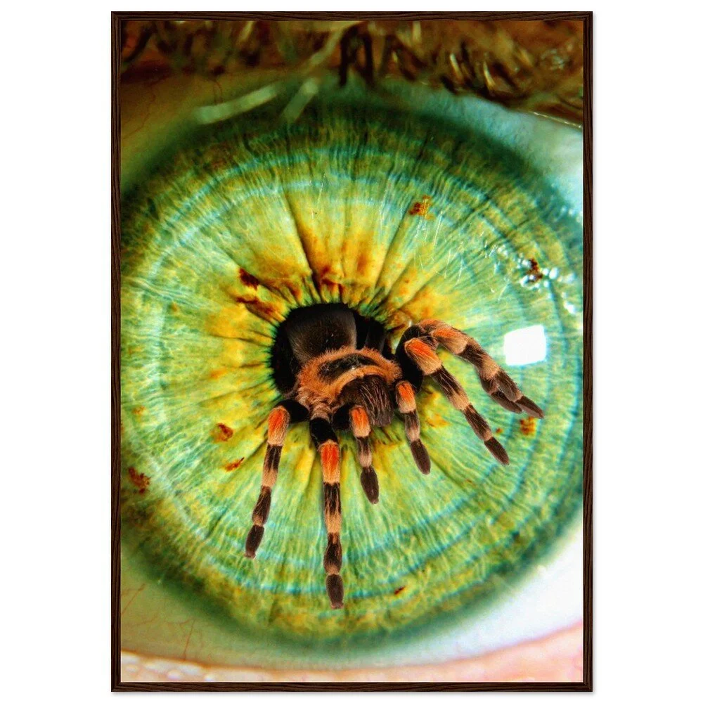 tmp-386-yV3HIQyY2Tgu