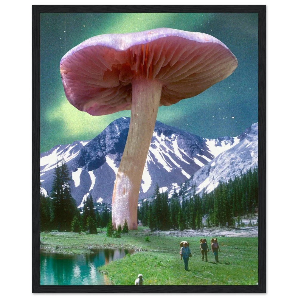 tmp-386-Vumef5QLN7B0