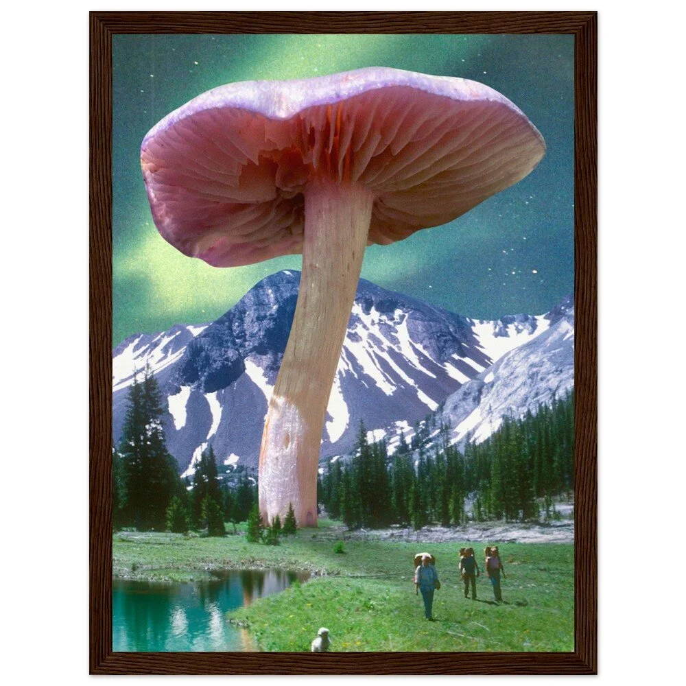 tmp-328-aDn7rWYwrLiM