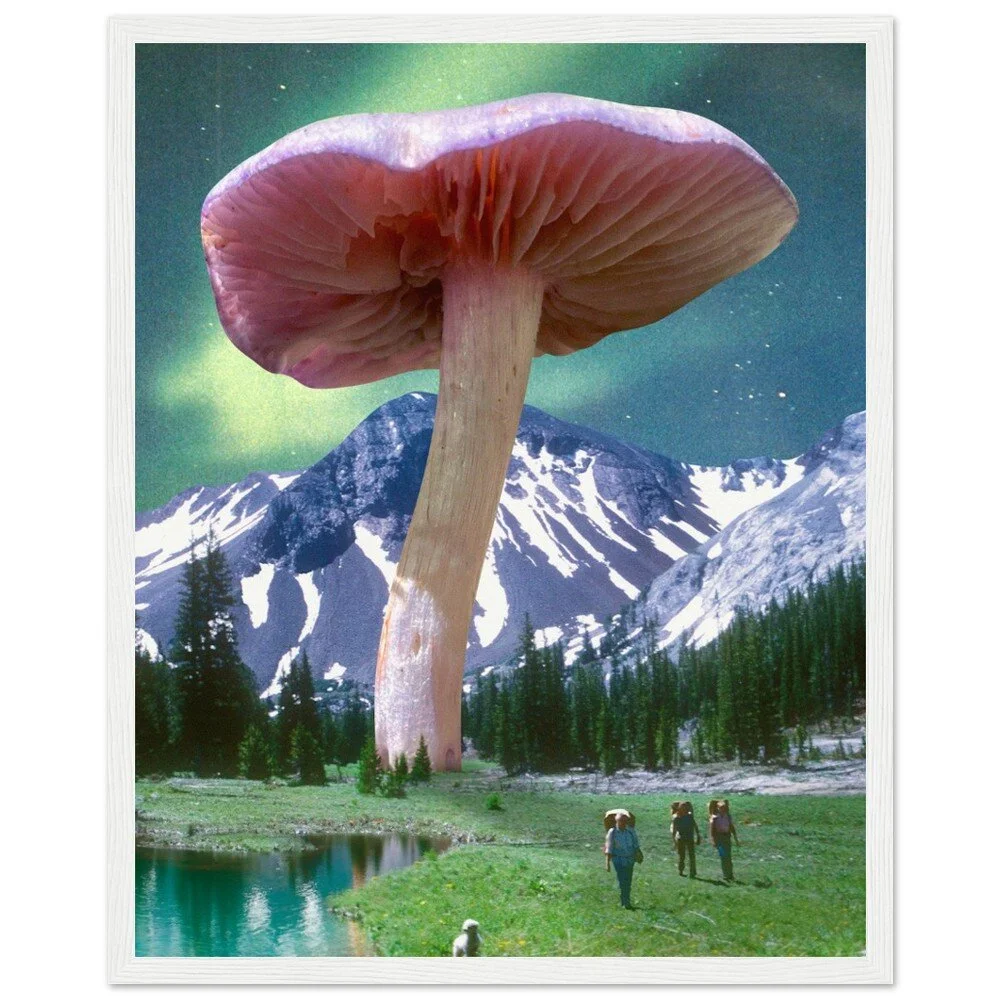 tmp-386-2YNrRWnRq48A