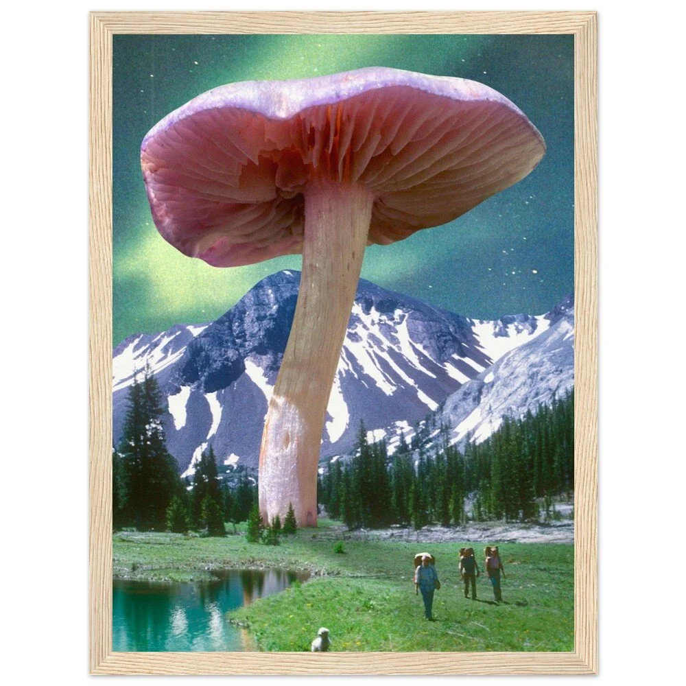 tmp-328-o2DrICd5b6B4