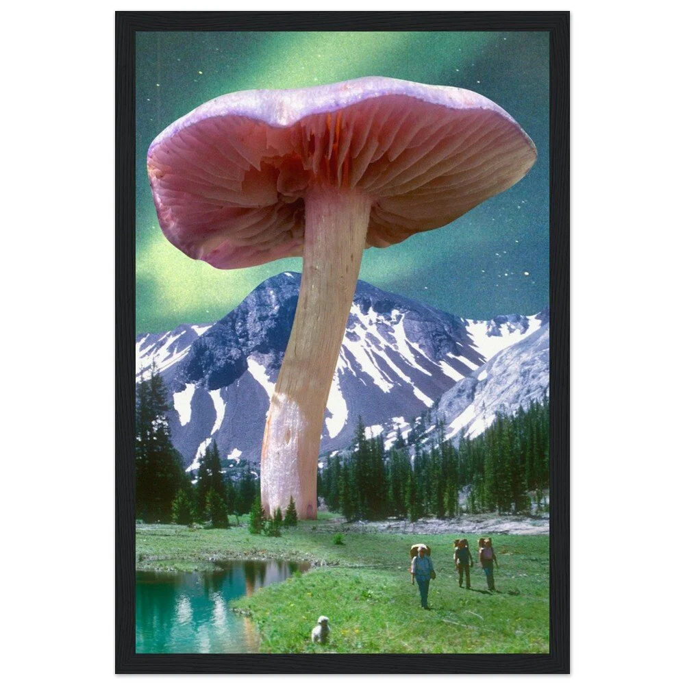 tmp-328-NKj6Ou60reos