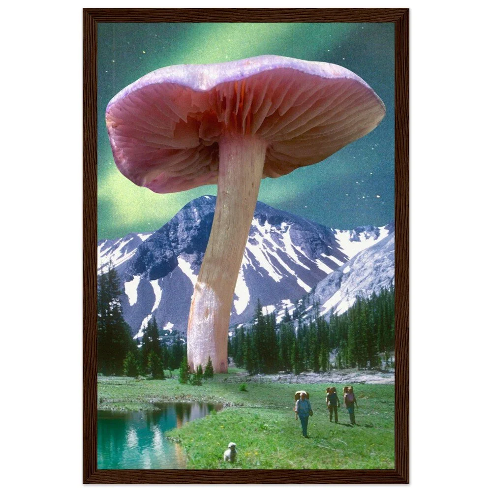 tmp-328-TTwTsnOuxwQV