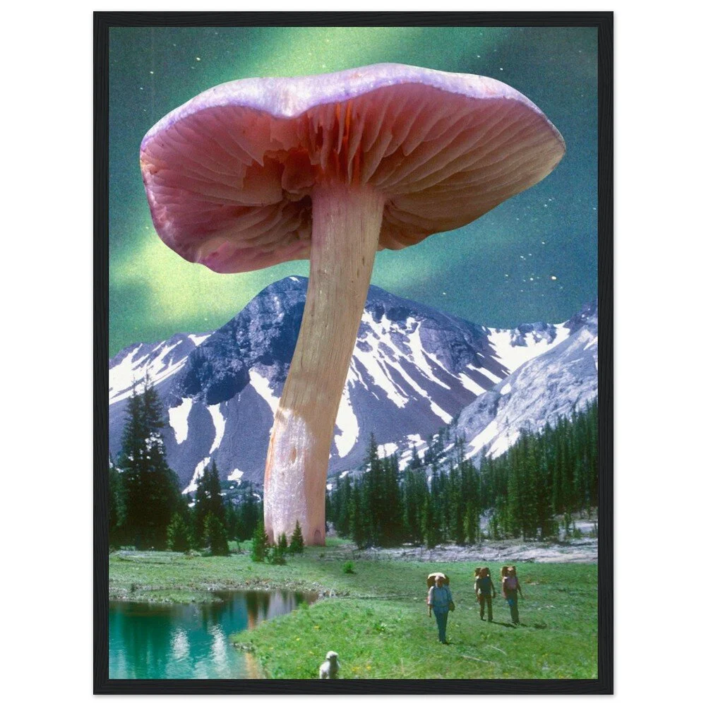 tmp-386-Ohcwk4Jn14pD