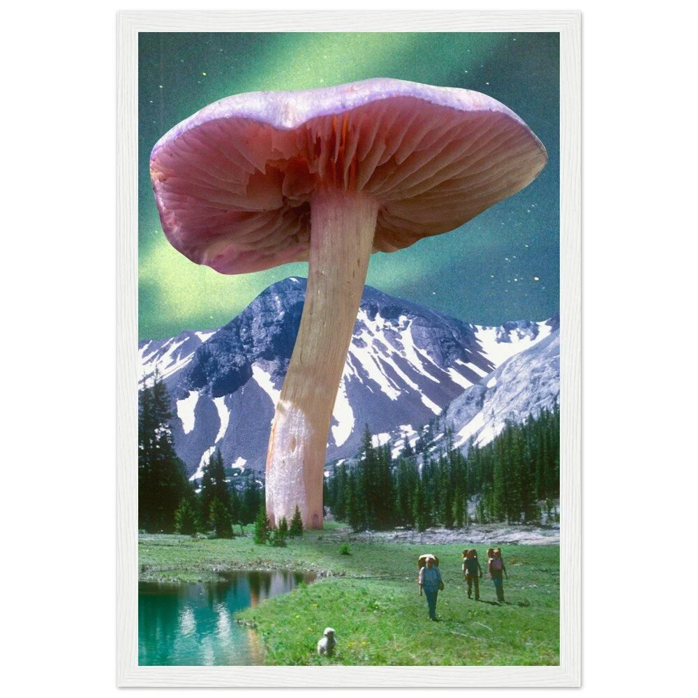 tmp-328-FT1496LQQ8iT