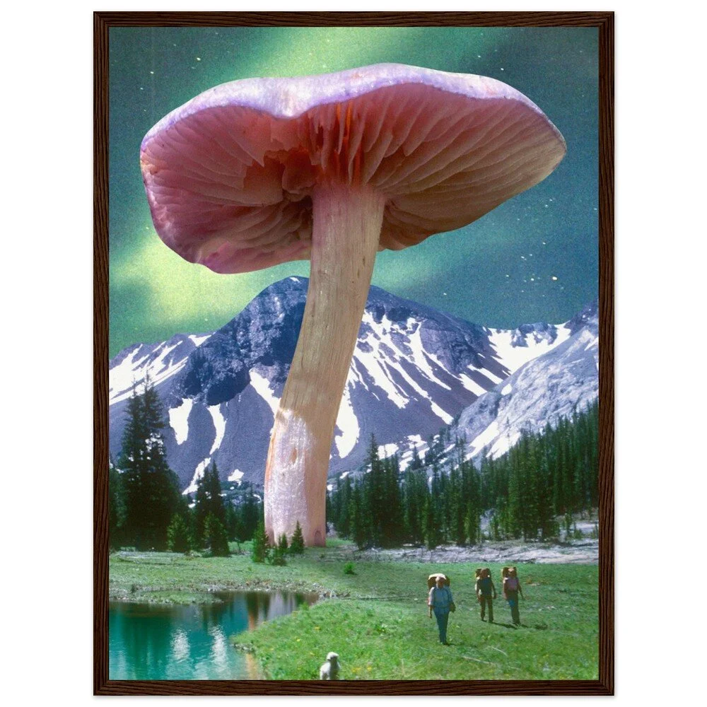 tmp-386-VQEE9UI06olF