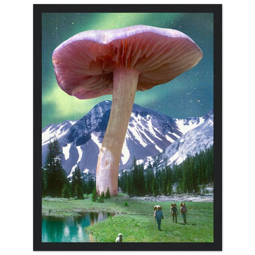 tmp-372-VJU3Q579bN4z