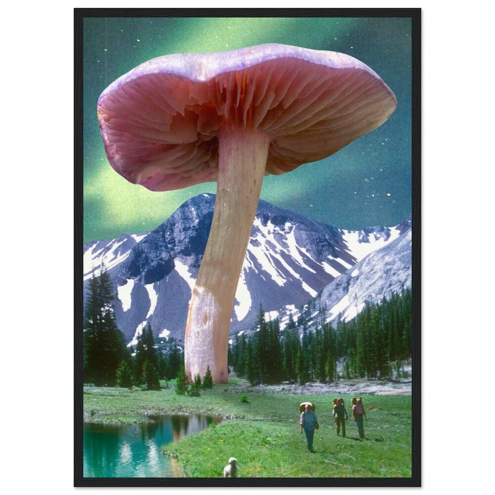 tmp-386-ksh44nX6xBJn