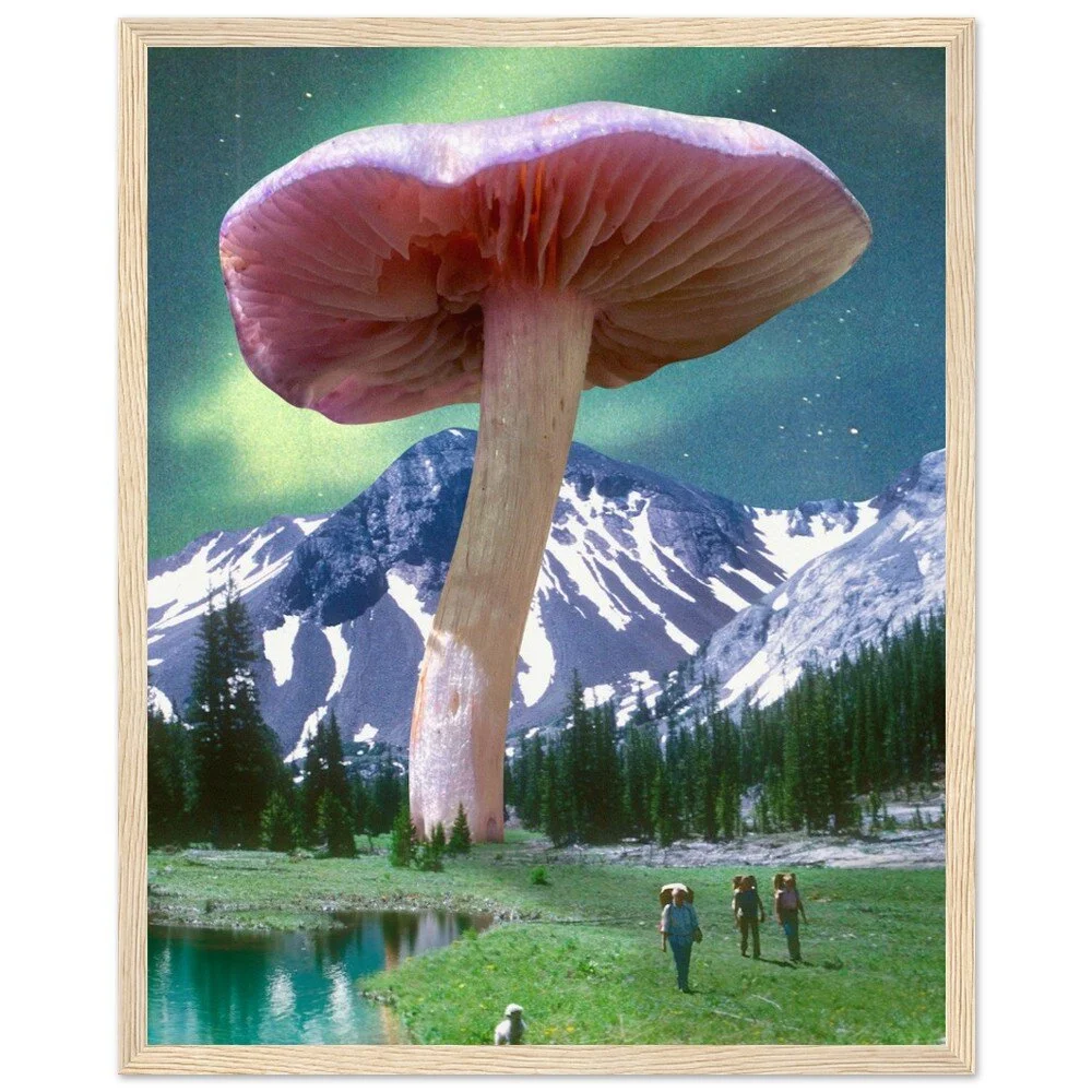 tmp-328-4jKCwOporOjh