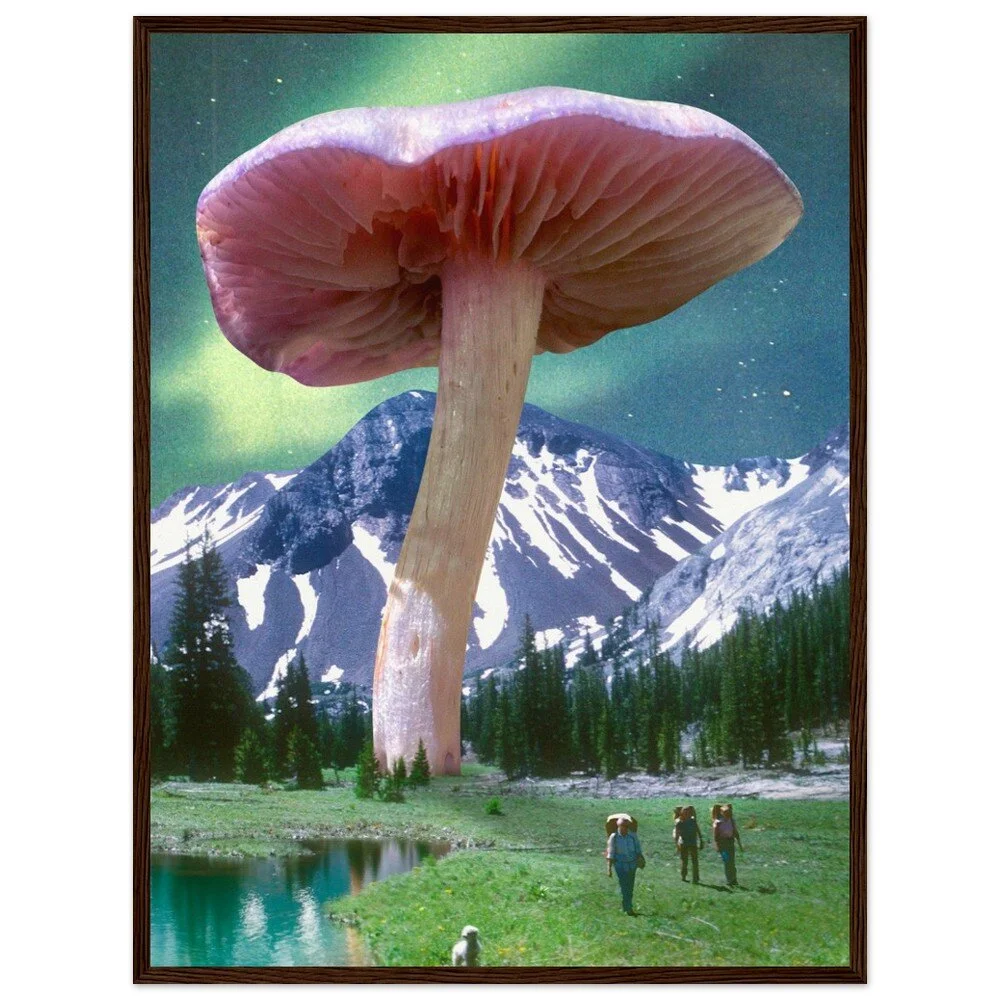 tmp-386-3YDpamMeXc65