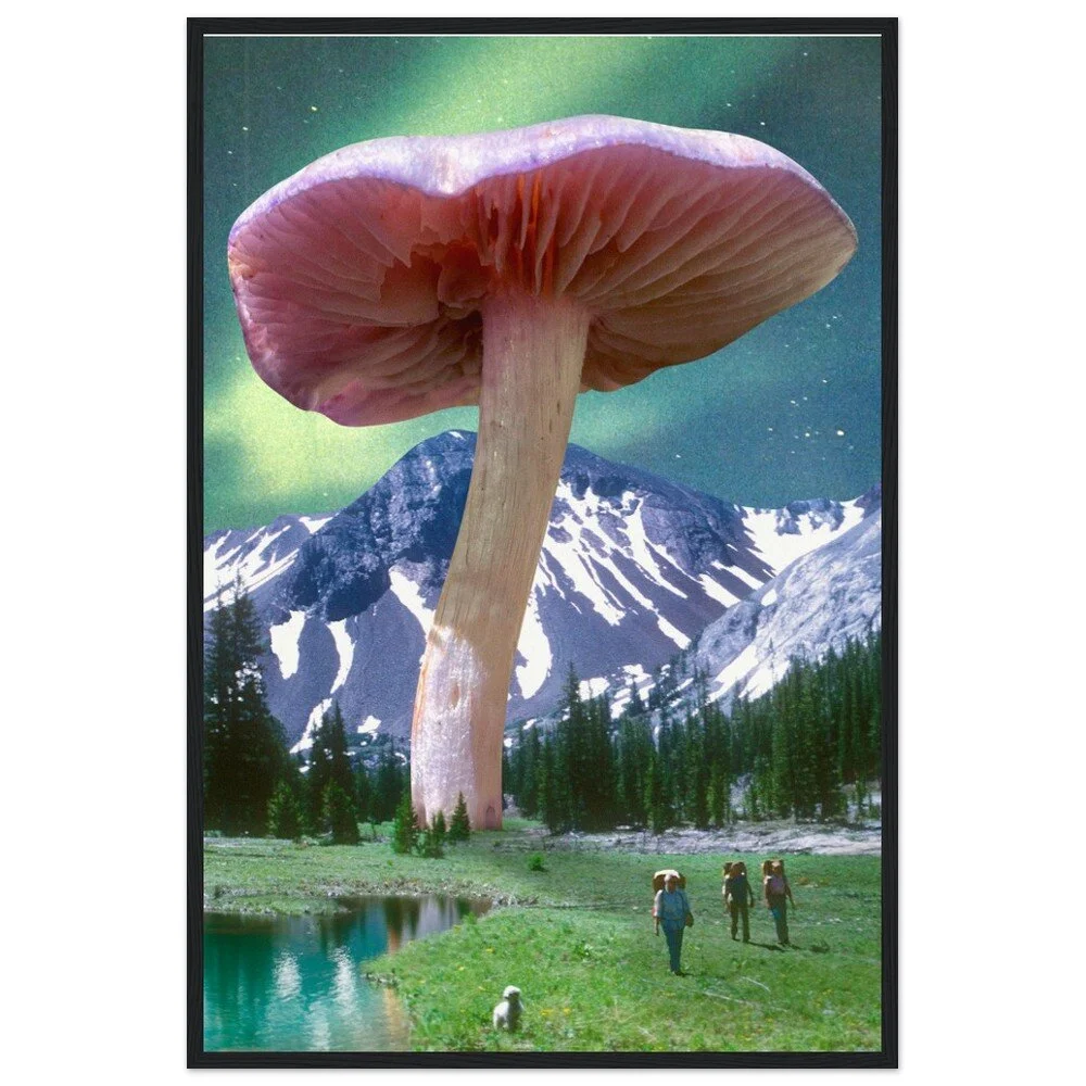 tmp-386-t6bREQXnYQvC