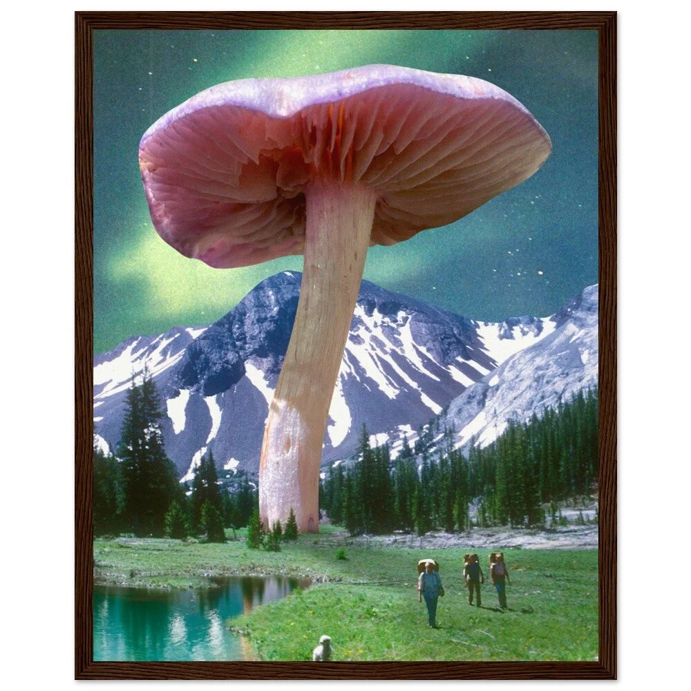 tmp-372-CpdR6ce5QDwC