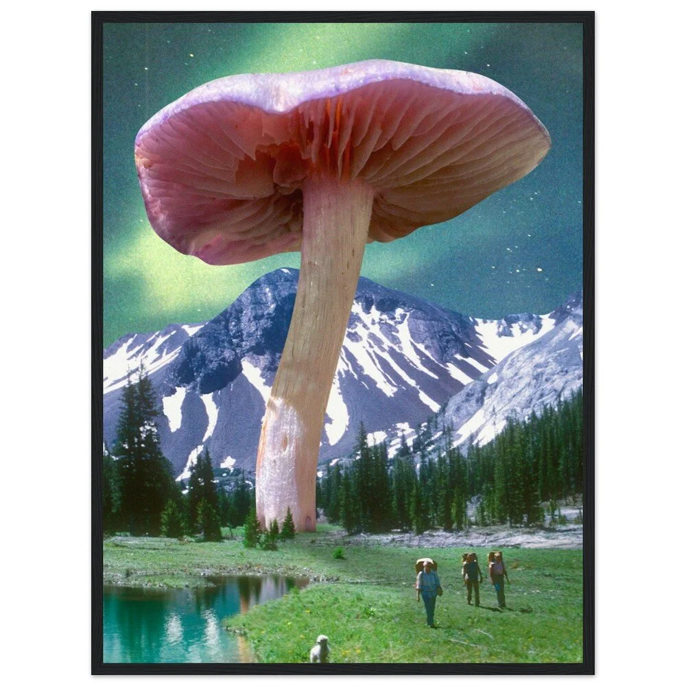 tmp-328-bPT0RTd5oAoc