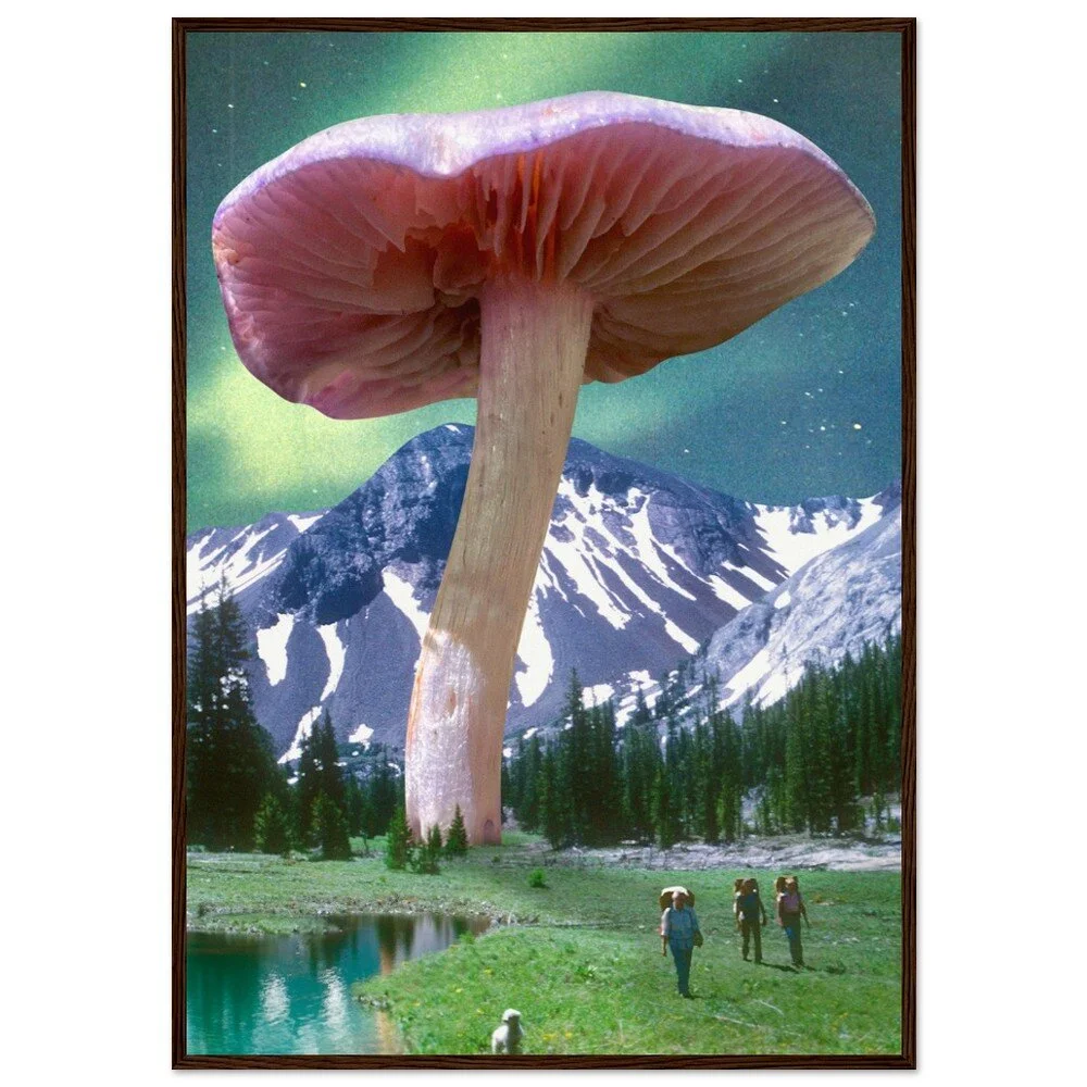 tmp-386-dmIKW80hCPlk