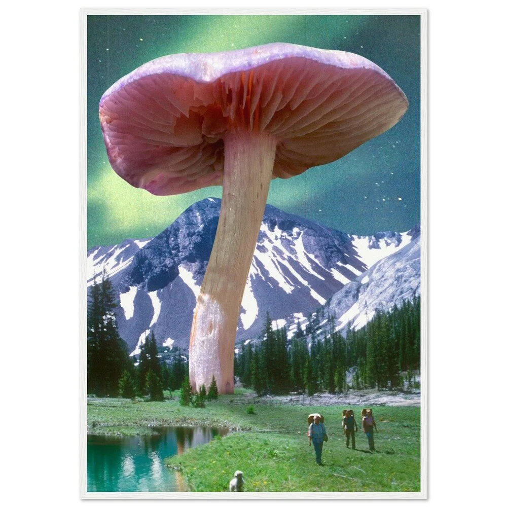 tmp-386-NpRmGy7zyk3s