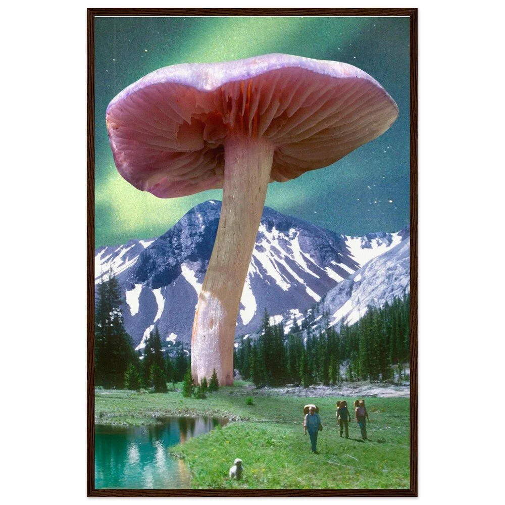 tmp-328-TKqjNgxfiwXJ