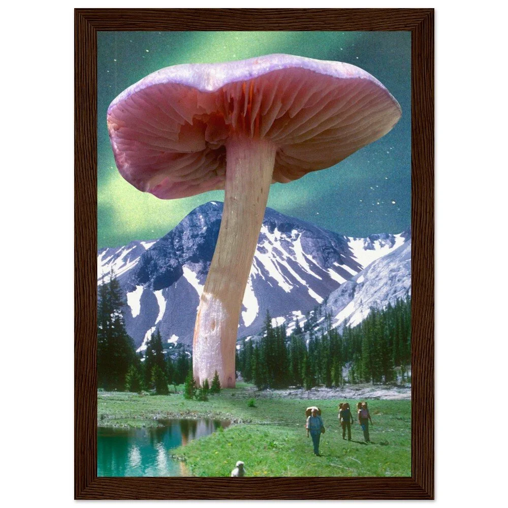 tmp-386-ZuGybvG7ay00