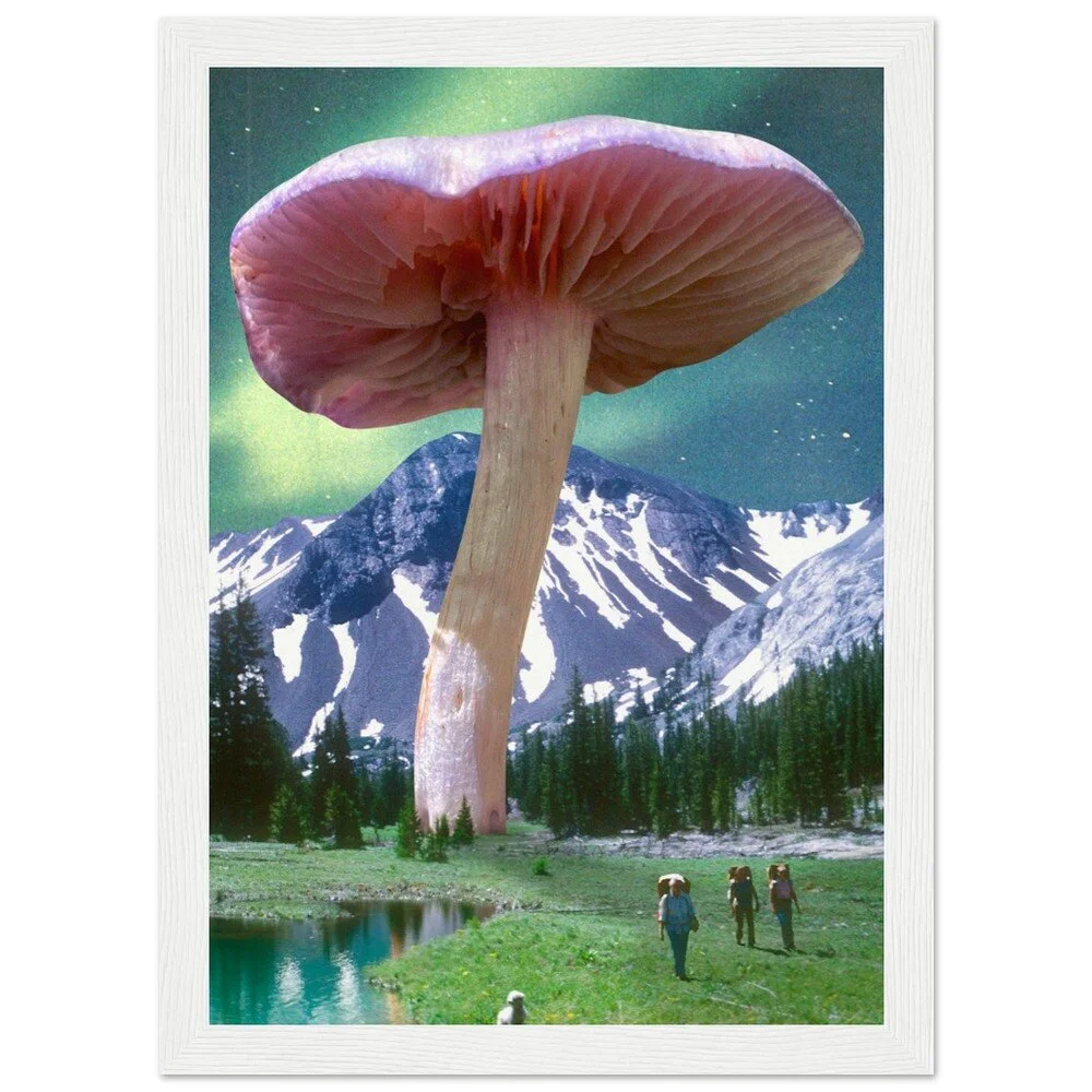 tmp-386-2kFsamoVDPky