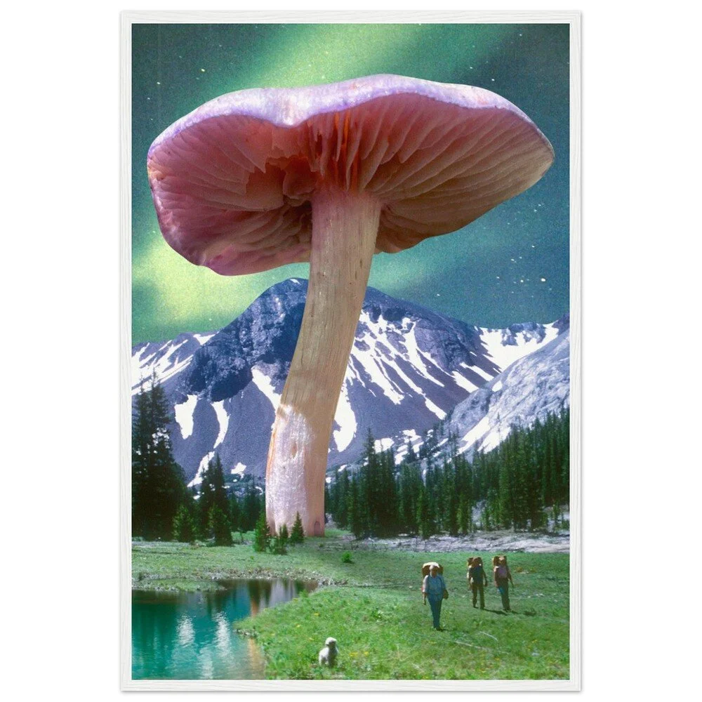 tmp-328-ms1foBv3BOYc