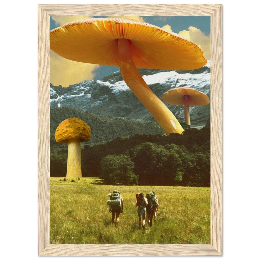 tmp-390-ZcTB9vqEl2x1