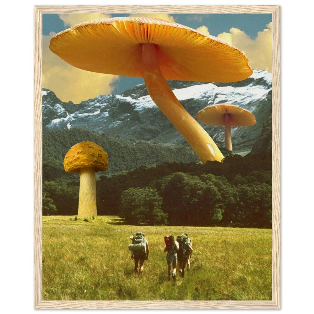 tmp-390-vbNnQK3u8rWZ