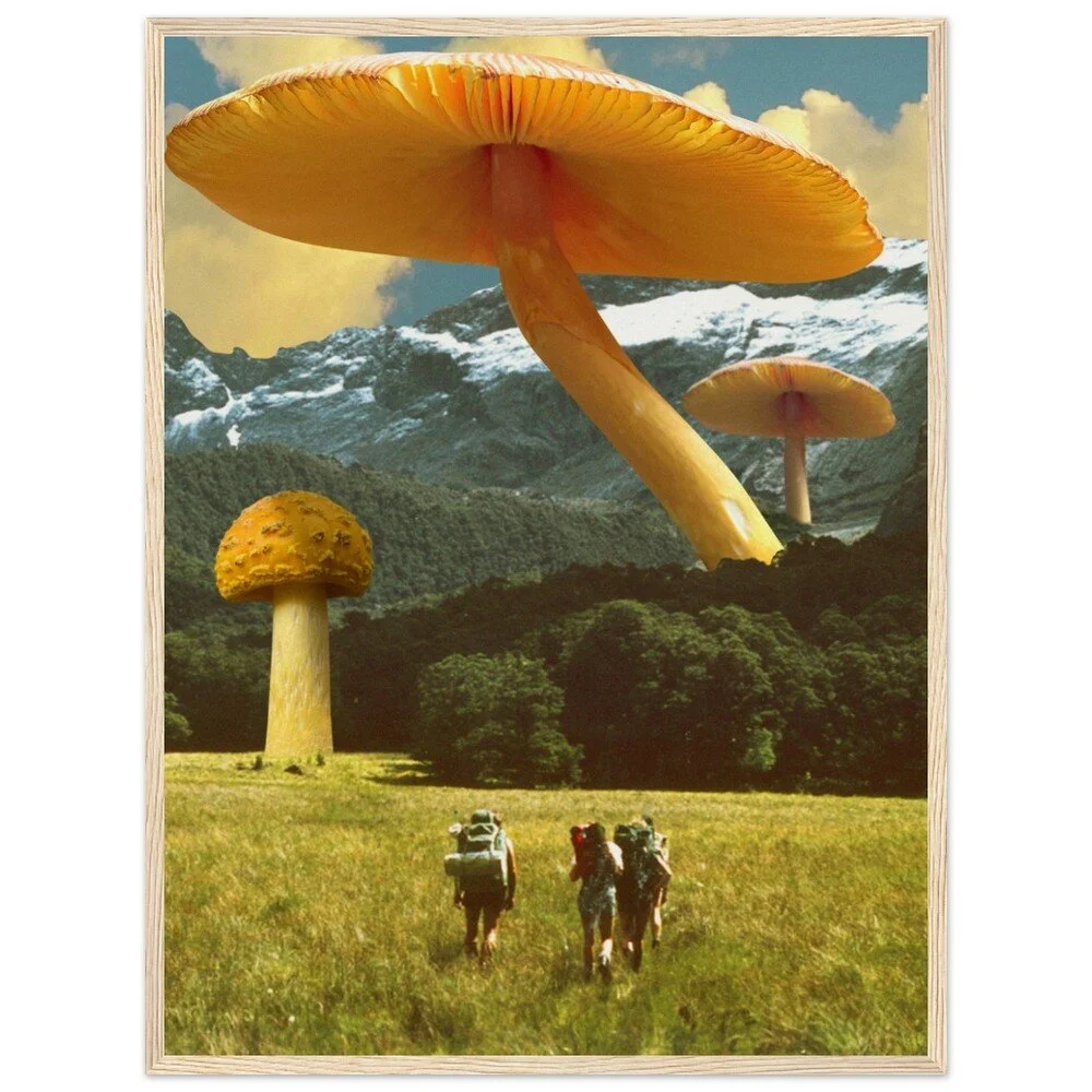 tmp-330-5TqHdG2ir3No