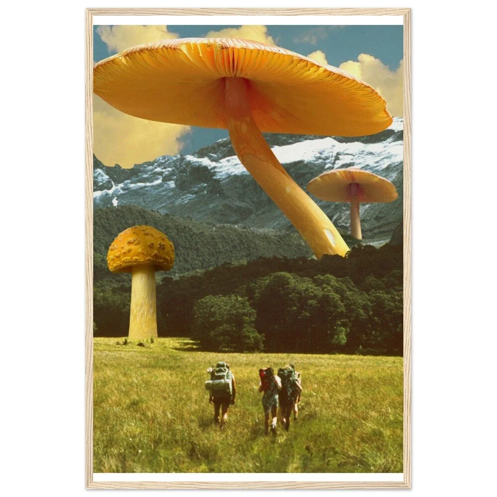 tmp-330-0K590oEPPKzH