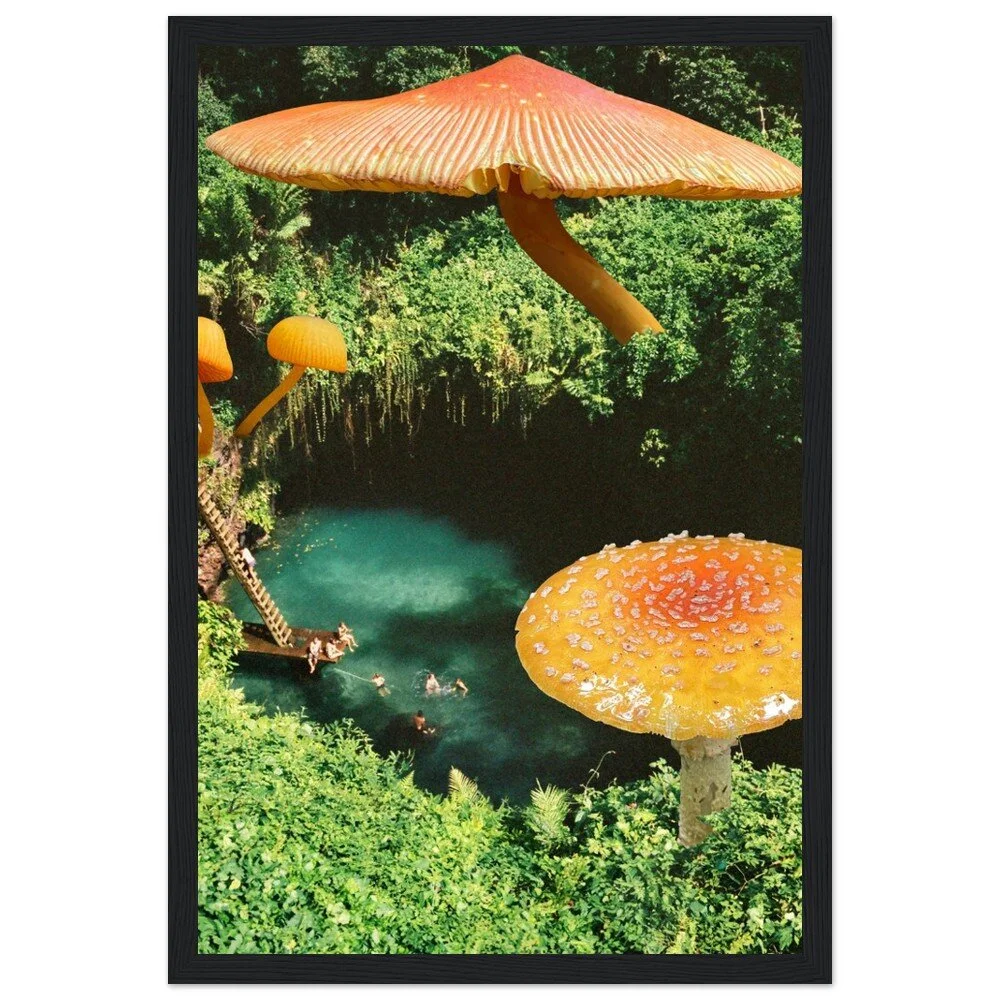 tmp-396-xIb4LB8pzJaj