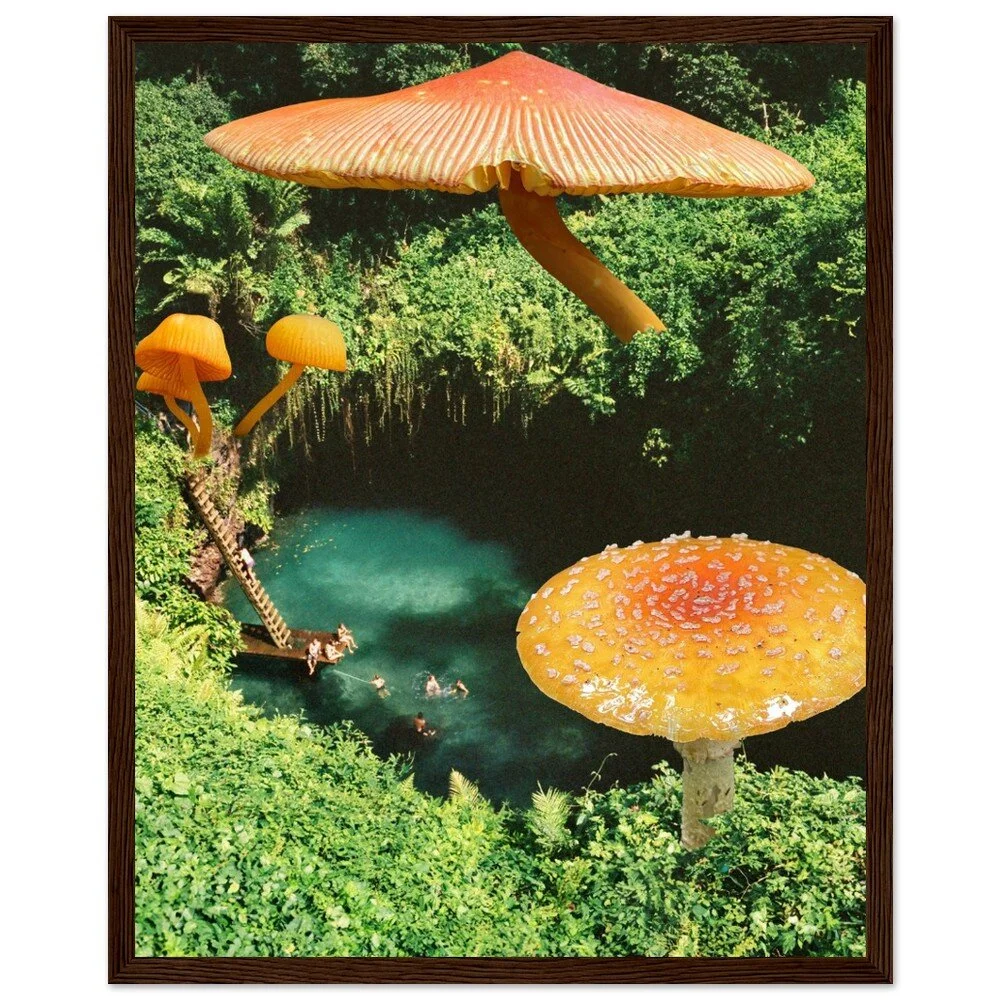 tmp-411-2ERfs8liRtUq