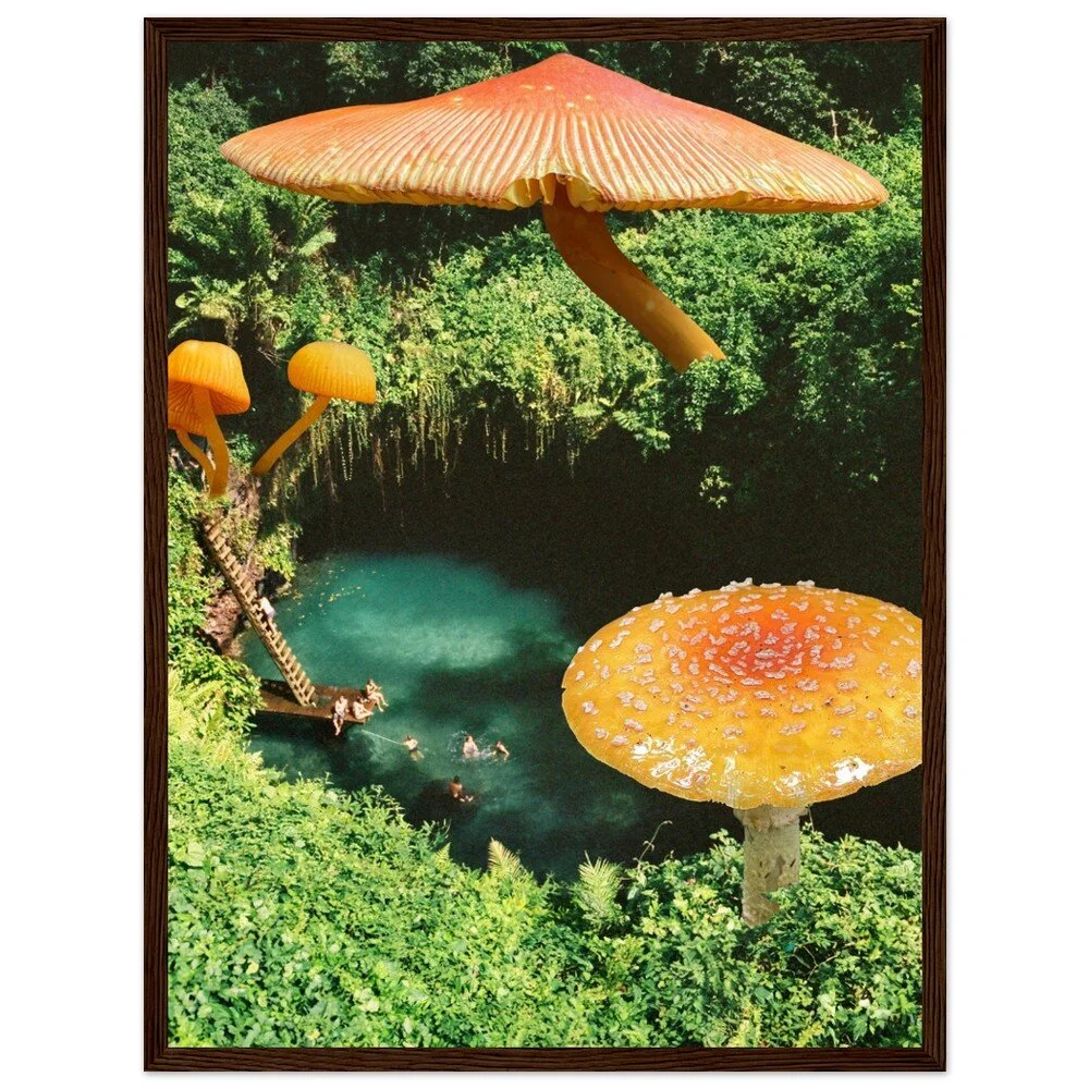 tmp-411-MNzP4ywaGTNq